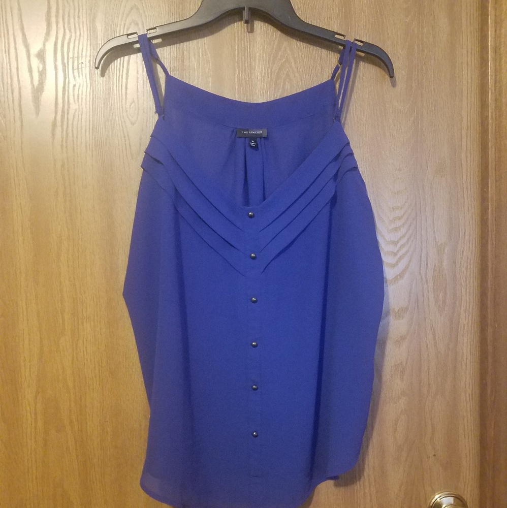 The Limited - Sheer Sleeveless Blouse with Buttons